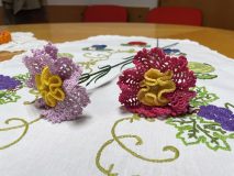 IMG_4663-scaled